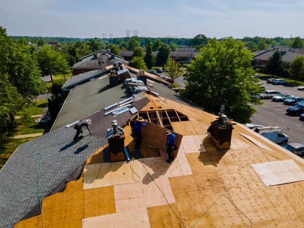Trusted Roof Replacement service in Pierce, ID - Brentwood Metal Roofing